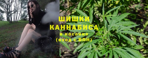 ешки Корсаков
