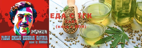 ешки Корсаков