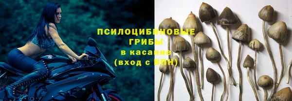 ешки Корсаков