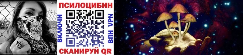 Псилоцибиновые грибы MAGIC MUSHROOMS Советская Гавань