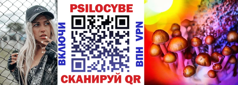 Галлюциногенные грибы Cubensis Купить где Советская Гавань